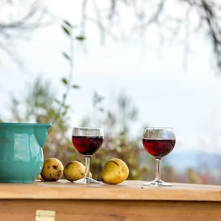 Vineyard Living * Filovci