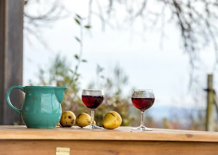 Vineyard Living * Filovci